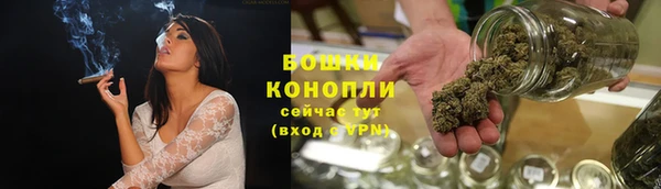 шишки Михайловка